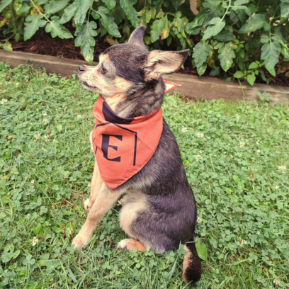 Gucci Ann Sophie Belanger