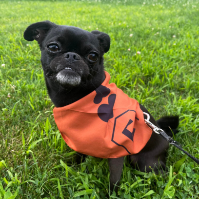 Lulu Priscilla Beaudette
