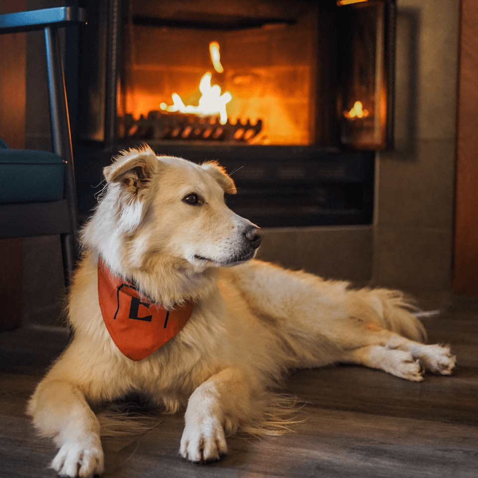 Galerie produit (29) Galerie produit (29)