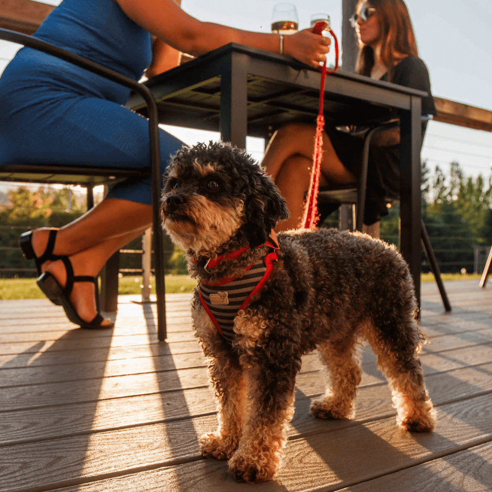 Galerie produit (18) Galerie produit (18)