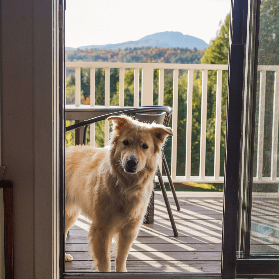 Galerie produit (24) Galerie produit (24)