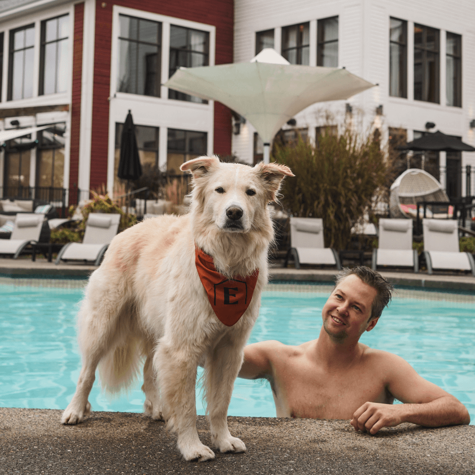 Galerie produit (25) Galerie produit (25)