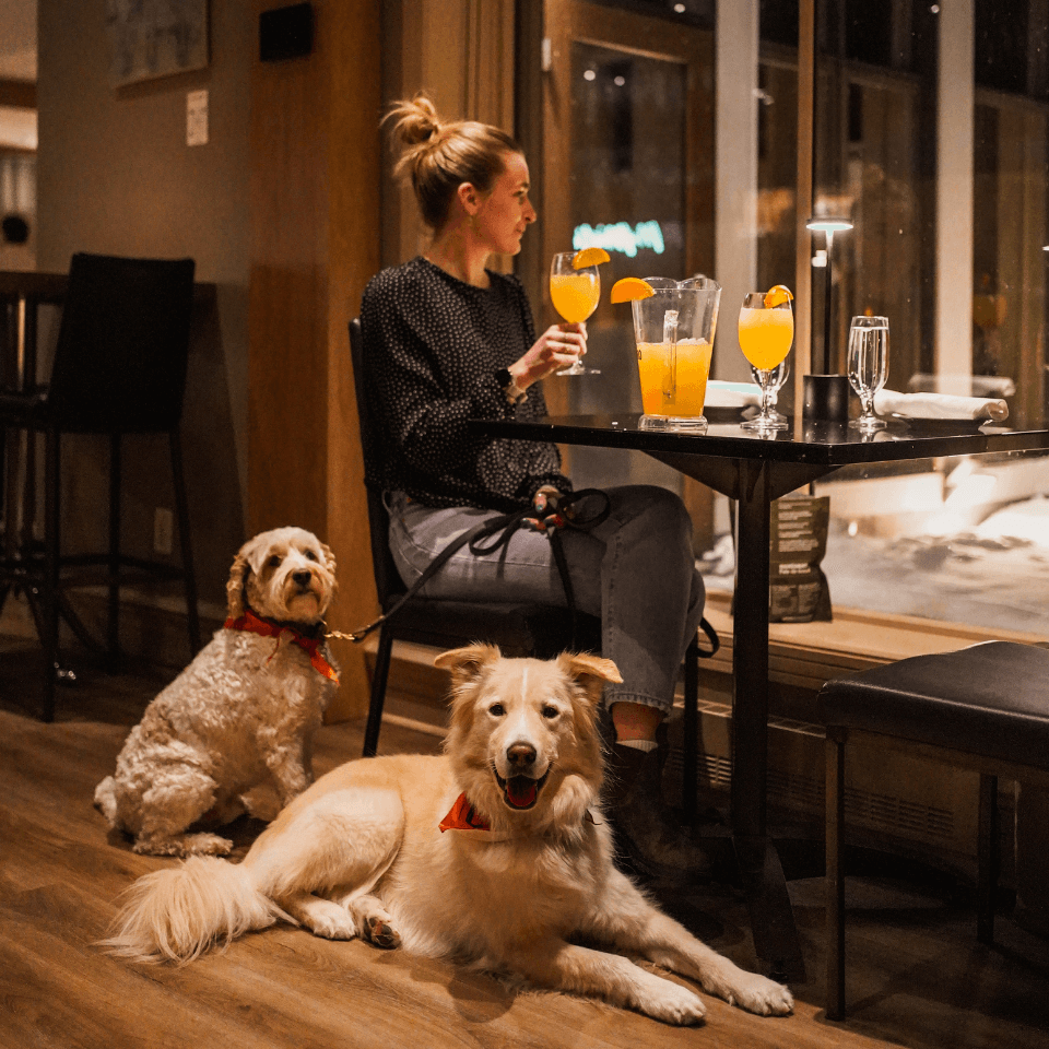 Galerie produits (111) Galerie produits (111)