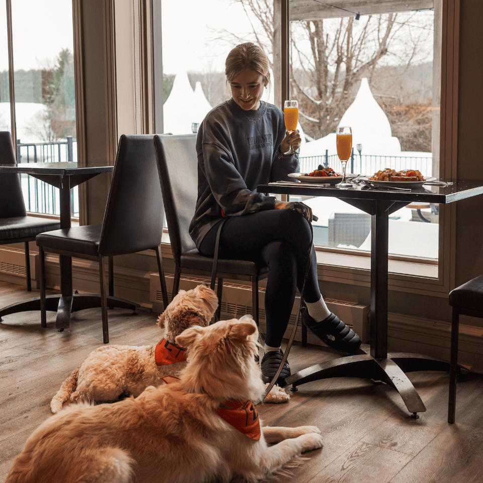 Galerie produits (112) Galerie produits (112)