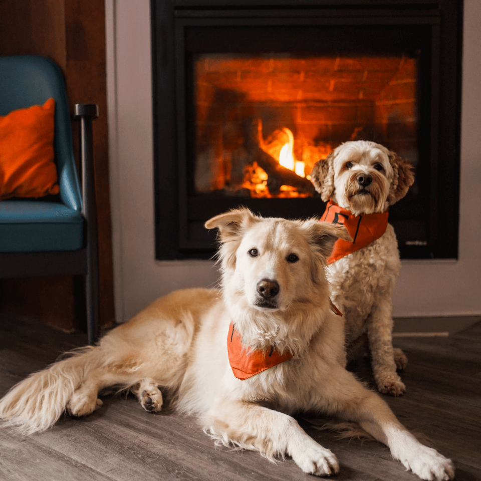 Galerie produits (113) Galerie produits (113)