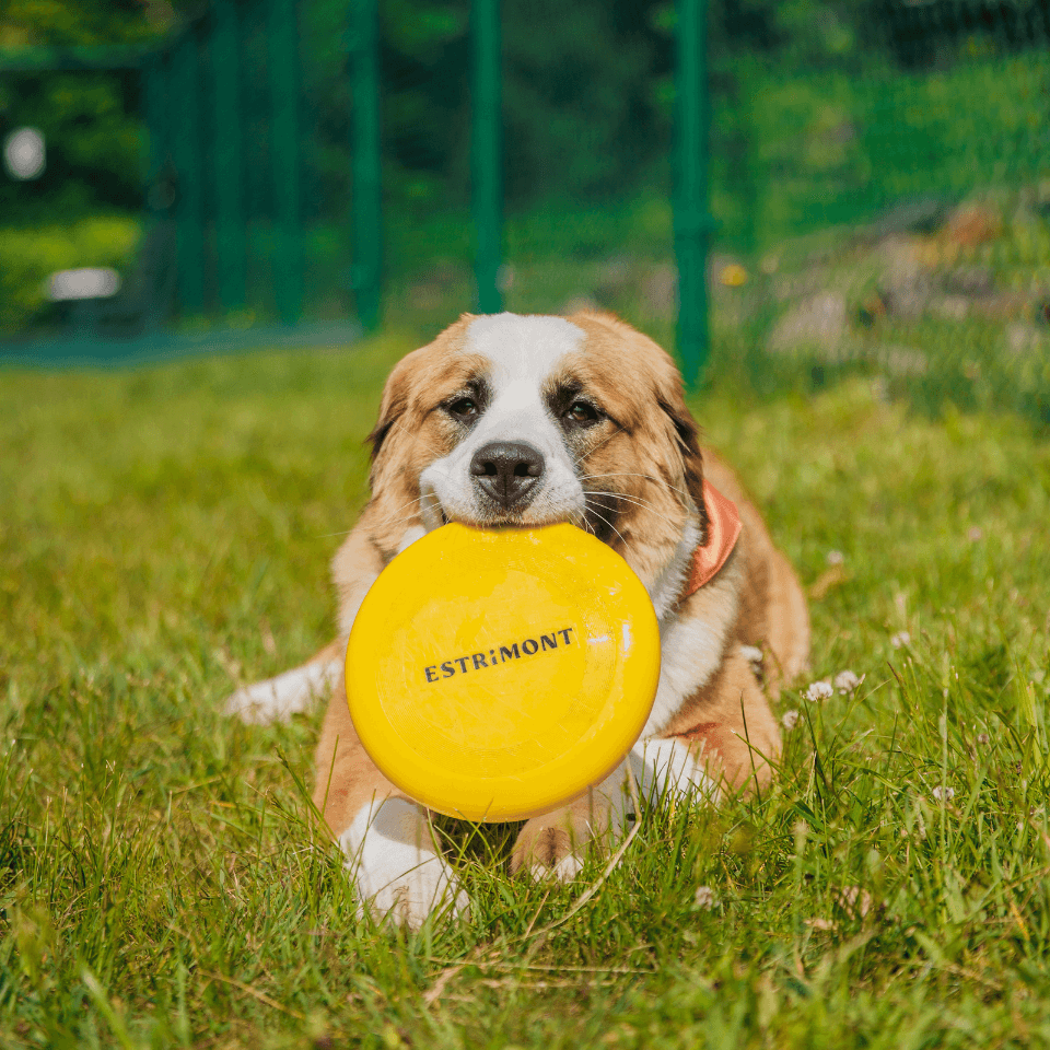 Galerie produits (63) Galerie produits (63)