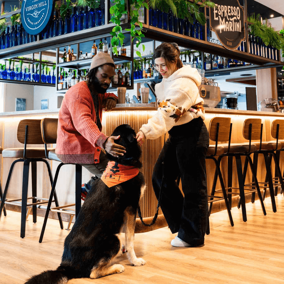 Galerie produits (79) Galerie produits (79)