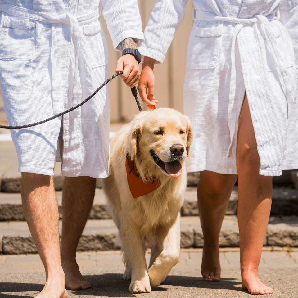 Galerie produit (18) Galerie produit (18)